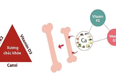 Cơ Chế Kiểm Soát Canxi và Tối Ưu Hóa Sức Khỏe Xương Của Bé