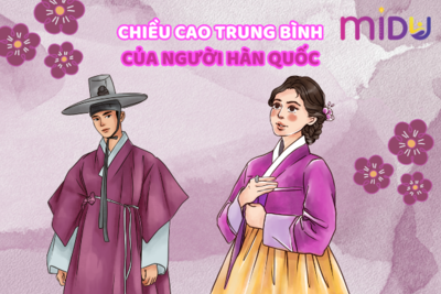 Bảng đo chiều cao trung bình của người Hàn Quốc chính xác nhất