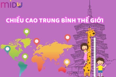 [TỔNG HỢP] Bảng chiều cao trung bình của thế giới #2024