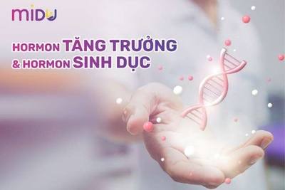[Giống & Khác] hormon tăng trưởng và hormon sinh dục #2024