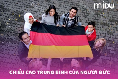 [Giải đáp] Chiều cao trung bình của người Đức là bao nhiêu?