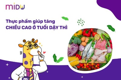 [LƯU NGAY] Thực phẩm tăng chiều cao ở tuổi dậy thì HIỆU QUẢ