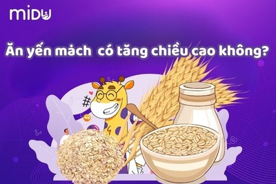 [ĐÚNG HAY SAI]  Ăn yến mạch có tăng chiều cao không? #MỚI