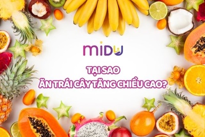 Giải đáp thắc mắc ăn trái cây gì để tăng chiều cao hiệu quả