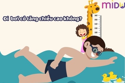 Đi bơi có tăng chiều cao không? 4 kiểu bơi tăng chiều cao hiệu quả