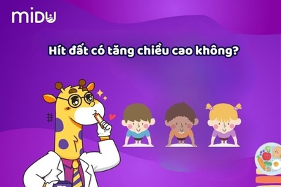 Hít đất có giúp tăng chiều cao không? 7 bài tập hít đất tăng chiều cao