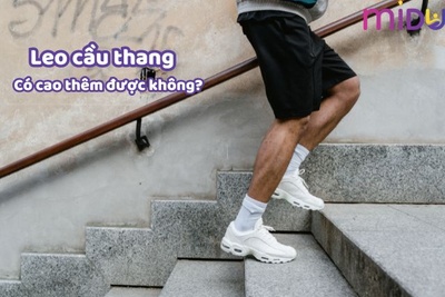 [SỰ THẬT] leo cầu thang có tăng chiều cao không?