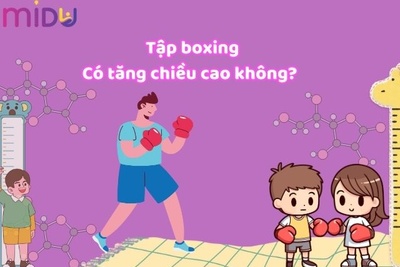 Tập boxing có tăng chiều cao không? Bài tập nào giúp cao hơn