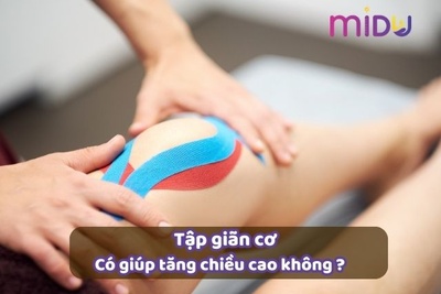 Chuyên gia giải đáp tập giãn cơ có tăng chiều cao không