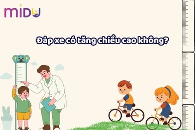Đạp xe có tăng giúp chiều cao không? Bí quyết đạp xe đúng?