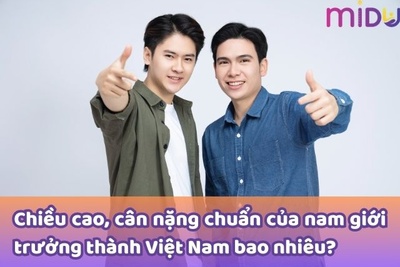 Bảng chiều cao cân nặng chuẩn nam giới theo độ tuổi mới 2024